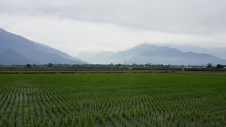 芒种节气文案怎么发朋友圈说说