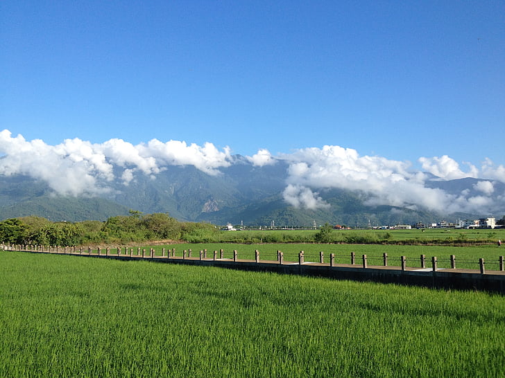 芒种节气文案怎么发朋友圈说说