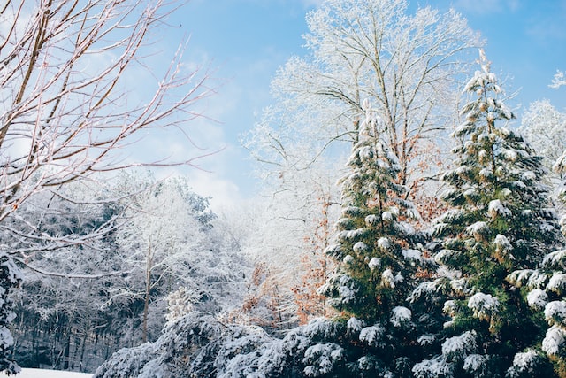 小雪文案短句干净治愈