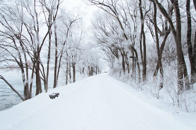 大雪文案短句干净治愈