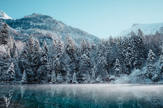 有关大雪节气古诗句