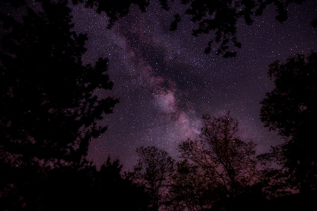 月亮星星浪漫语句